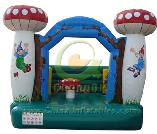 inflatable bouncer